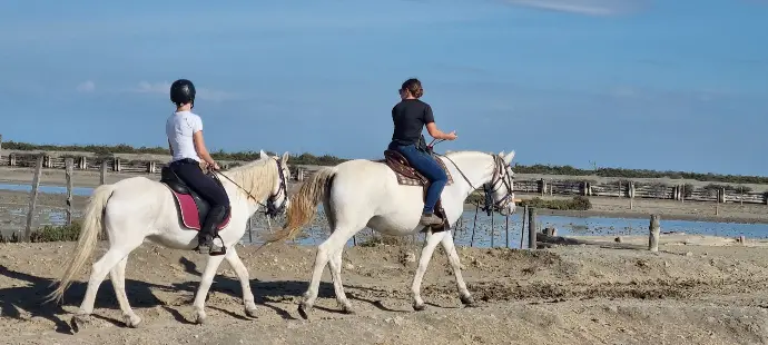 Promenade à cheval en Camargue avec des chevaux blancs près des marais aux Saintes-Maries-de-la-Mer.