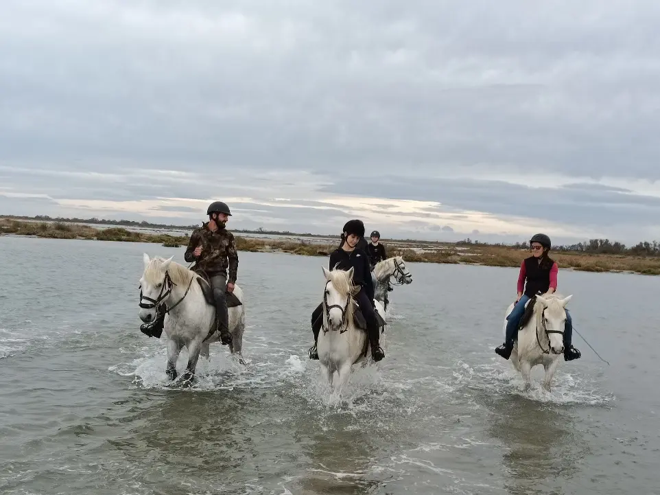 Groupe de cavaliers traversant un plan d'eau à cheval en Camargue avec La Fadaise, Saintes-Maries-de-la-Mer.