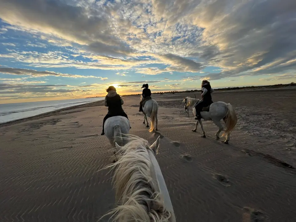 Promenade à cheval sur la plage au coucher du soleil en Camargue avec La Fadaise, Saintes-Maries-de-la-Mer.