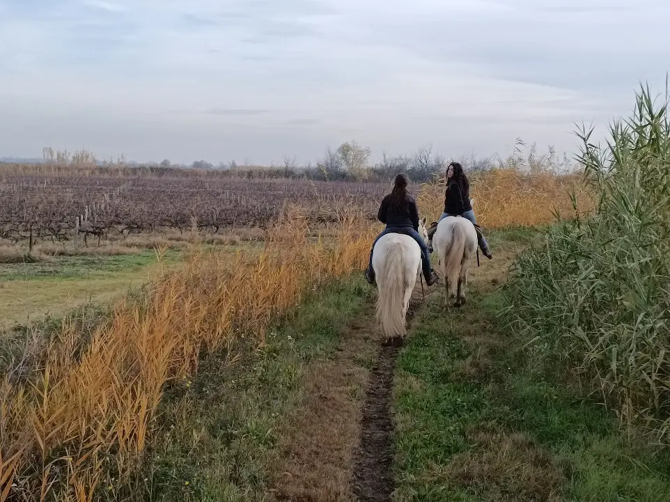 Deux cavalières à cheval sur un sentier en pleine nature en Camargue avec La Fadaise, Saintes-Maries-de-la-Mer.