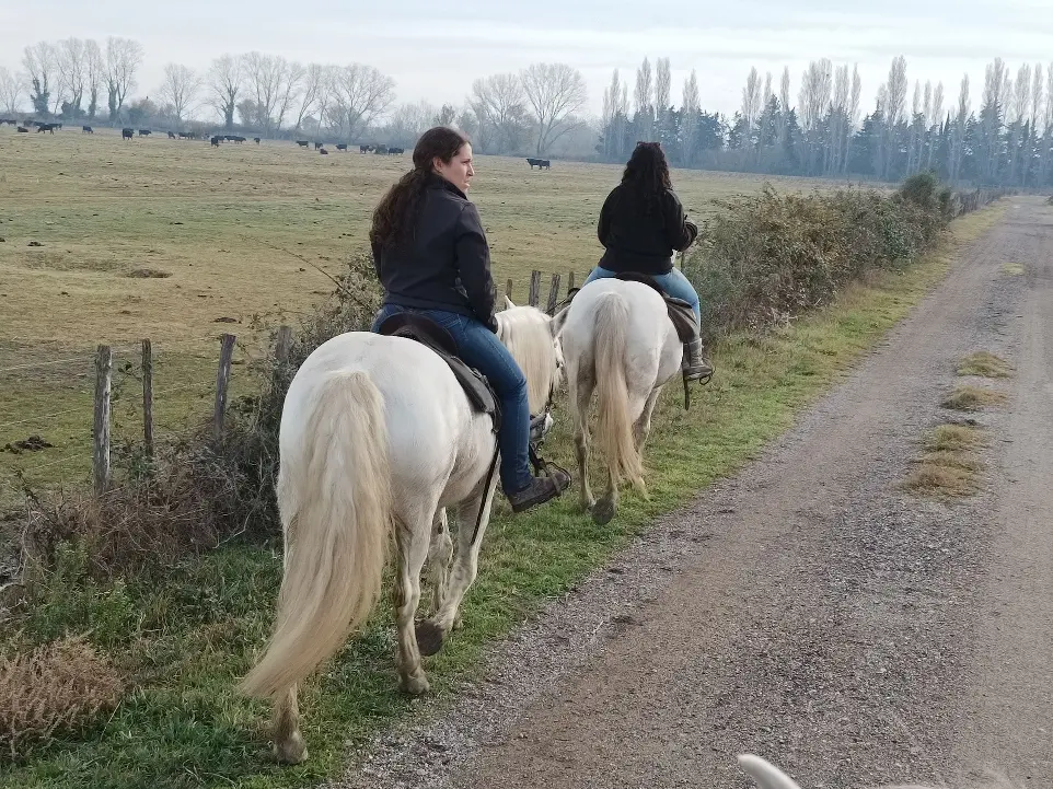 Deux cavalières à cheval sur un chemin rural en Camargue avec La Fadaise, entourées de pâturages et de taureaux.