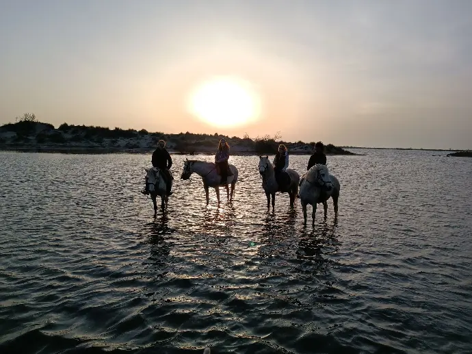 Groupe de cavaliers à cheval traversant l'eau au coucher du soleil en Camargue avec La Fadaise, Saintes-Maries-de-la-Mer.