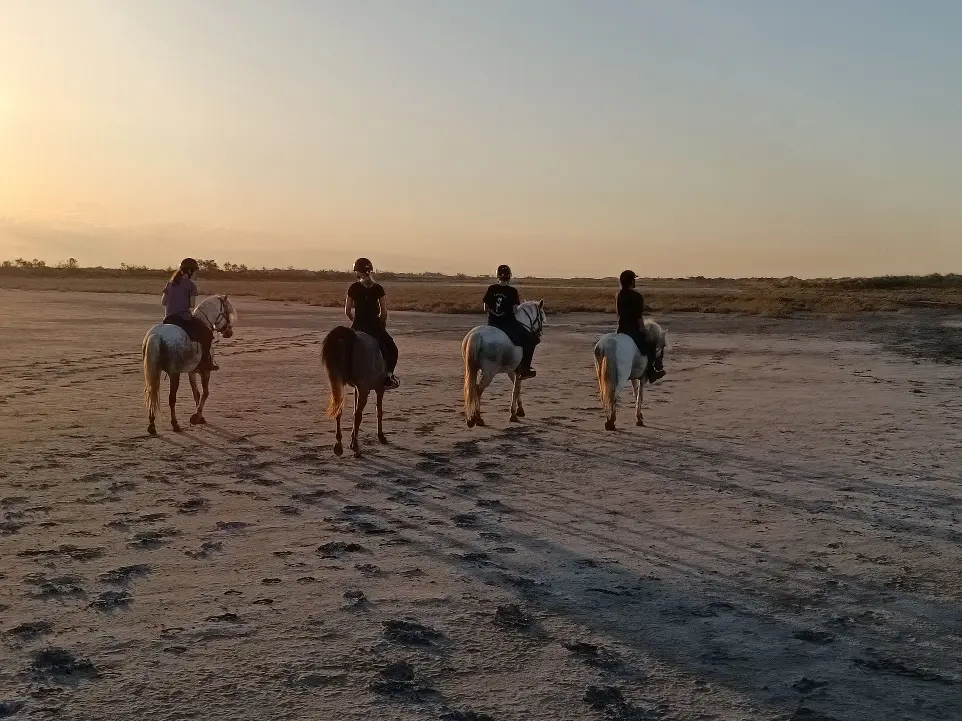 Groupe de cavaliers à cheval traversant un terrain sablonneux en Camargue au coucher du soleil avec La Fadaise.