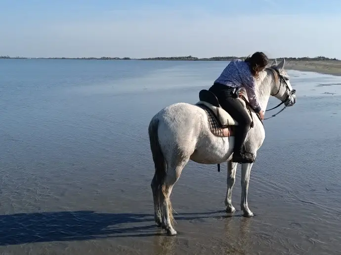 Cavalière montrant de l'affection à son cheval au bord de la plage en Camargue, avec La Fadaise, Saintes-Maries-de-la-Mer.