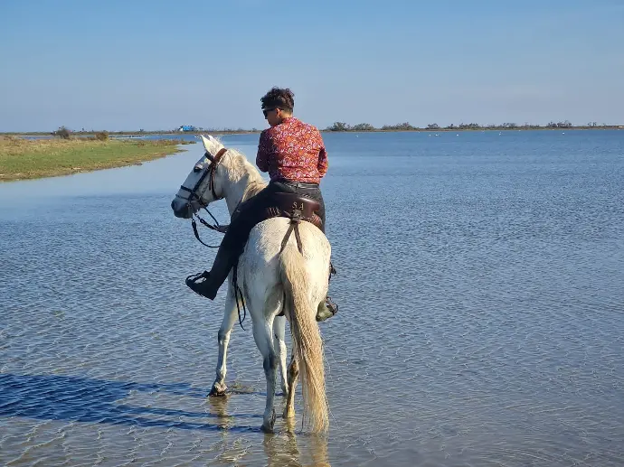 Cavalière sur un cheval blanc traversant les eaux peu profondes en Camargue, à La Fadaise, Saintes-Maries-de-la-Mer.